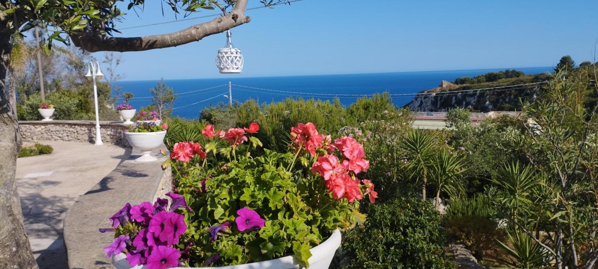 Villa Valeria Corsano  Dış mekan fotoğraf