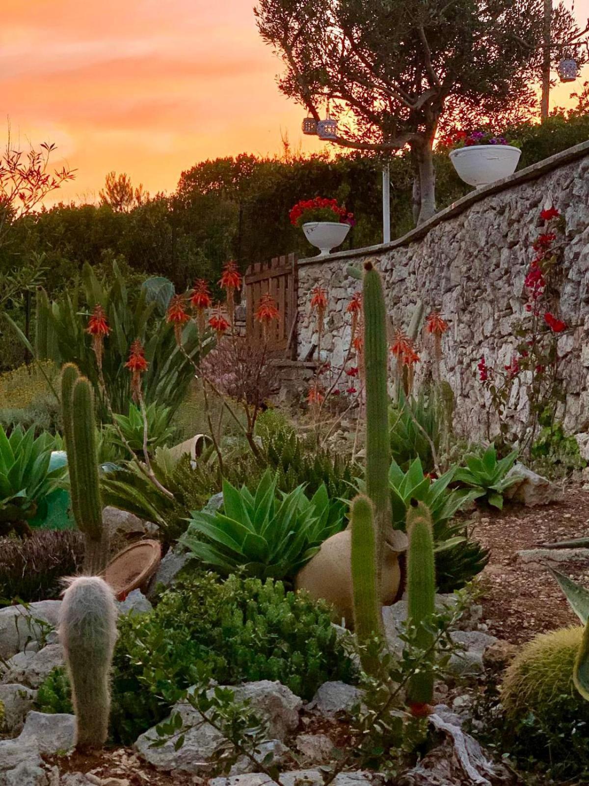 Villa Valeria Corsano  Dış mekan fotoğraf